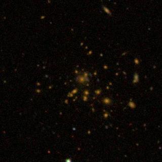 Another Rich Cluster