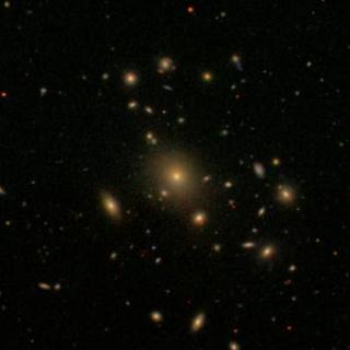 A Rich Cluster